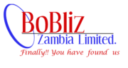 Bobliz Africa